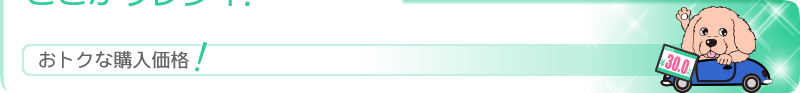 おトクな購入価格！